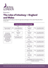 The rules of intestacy - England and Wales sales aid